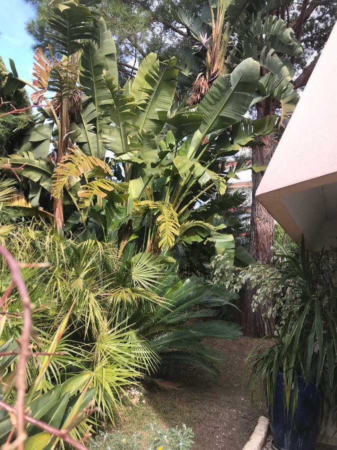 Appartamento 19 Rue Du Parc Alexandre III Cannes Esterno foto